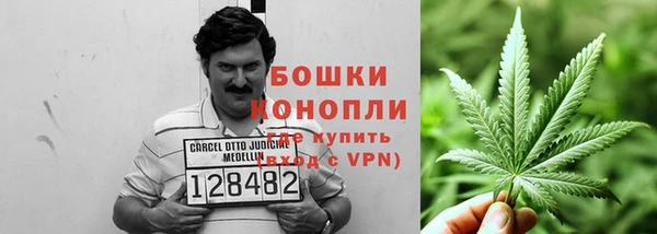 твердый Мегион