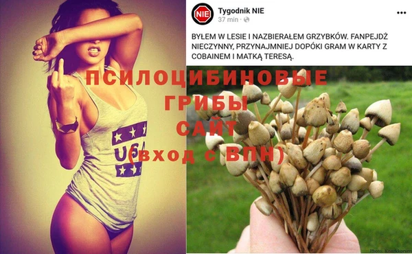 твердый Мегион