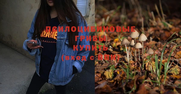 крисы Медвежьегорск