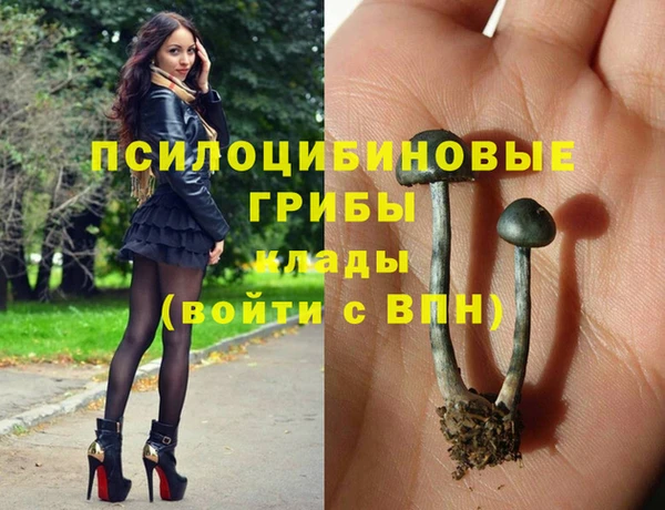 MESCALINE Михайловск