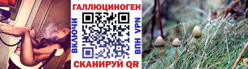 Галлюциногенные грибы Magic Shrooms  наркота  Болгар 